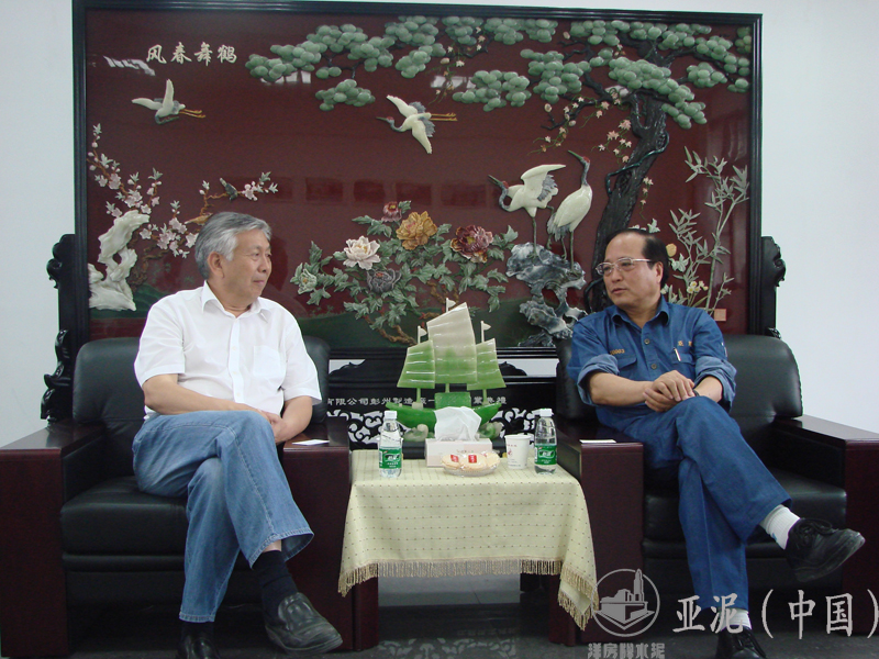 2008年6月21日，中國(guó)水泥協(xié)會(huì)會(huì)長(zhǎng)雷前治視察四川亞?wèn)|