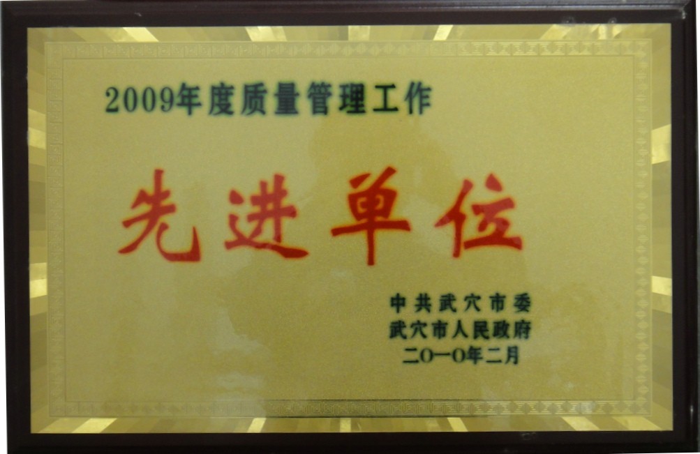 2009年度質量管理工作先進單位（黃岡亞東）