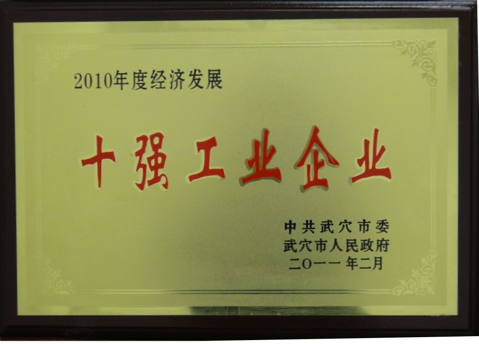 2010年度經(jīng)濟發(fā)展十強工業(yè)企業(yè)（黃岡亞東）