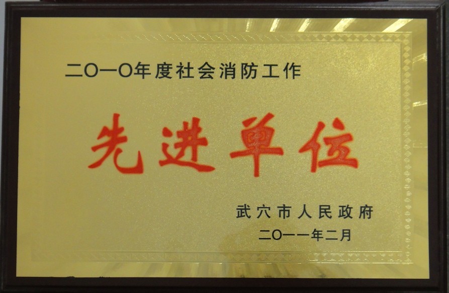 2010年度社會(huì)消防工作先進(jìn)單位（黃岡亞?wèn)|）