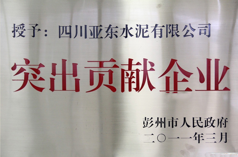 突出貢獻(xiàn)企業(yè)（四川亞?wèn)|）