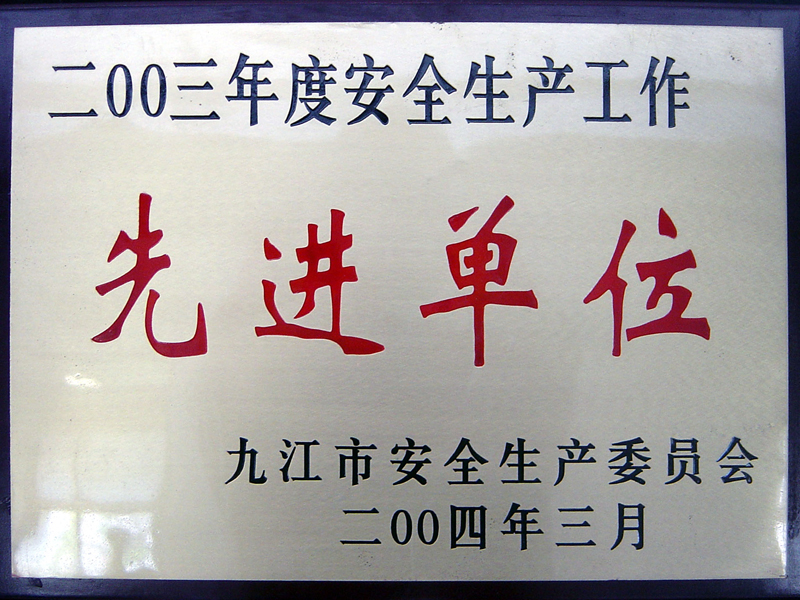 安全生產(chǎn)工作先進(jìn)單位（江西亞?wèn)|）