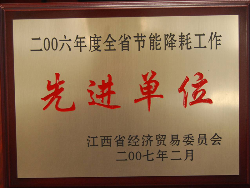 全省節(jié)能降耗工作先進單位（江西亞東）
