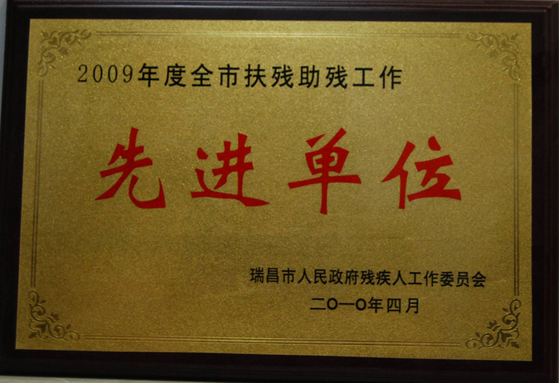 全市扶殘助殘工作先進單位（江西亞東）