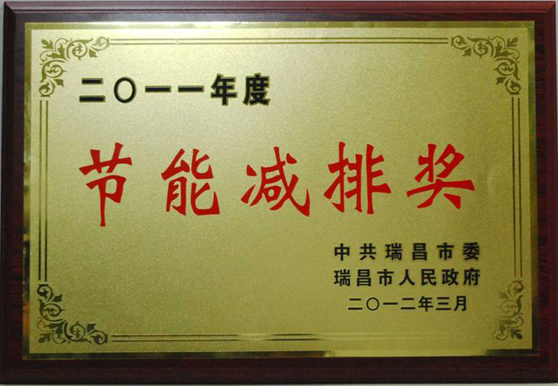 節(jié)能減排獎（江西亞東）