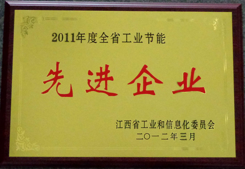 全省工業(yè)節(jié)能先進企業(yè)（江西亞東）