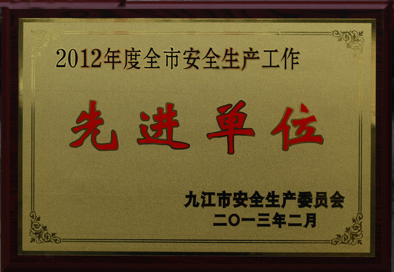 安全生產(chǎn)先進(jìn)單位（江西亞?wèn)|）