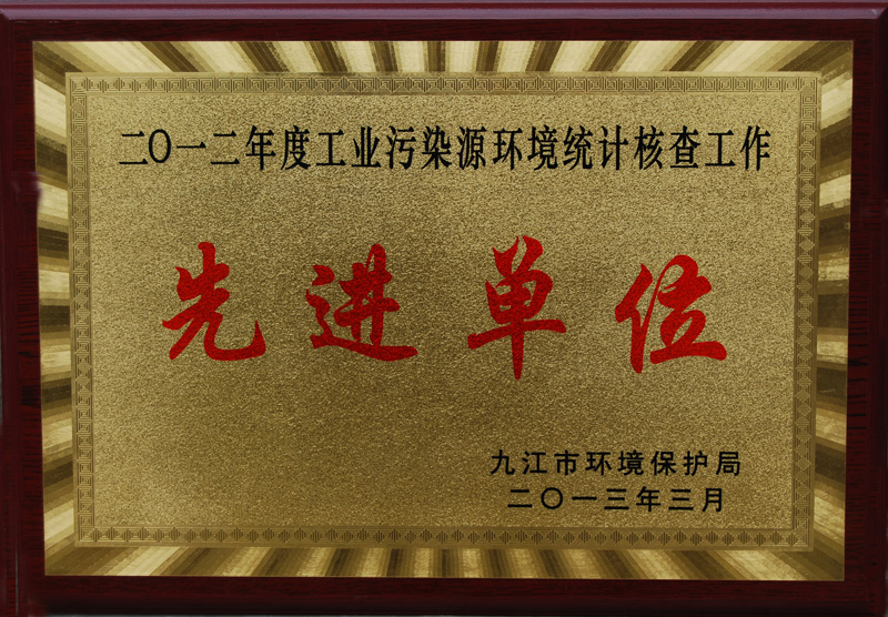 工業(yè)污染環(huán)境統(tǒng)計(jì)核查工作先進(jìn)單位（江西亞?wèn)|）