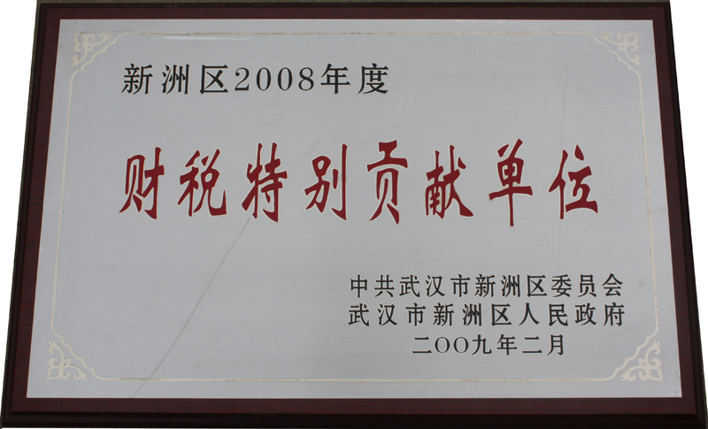 財稅特別貢獻單位（湖北亞東）