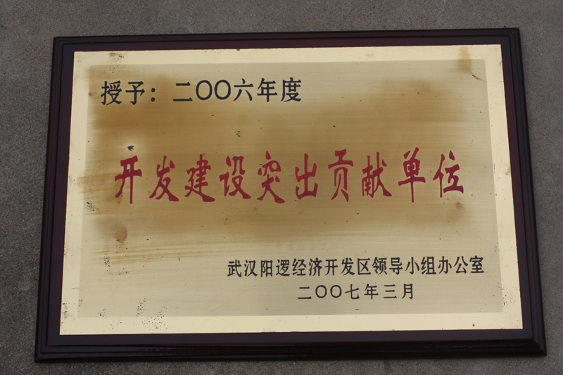 開發(fā)建設(shè)突出貢獻單位（湖北亞東）