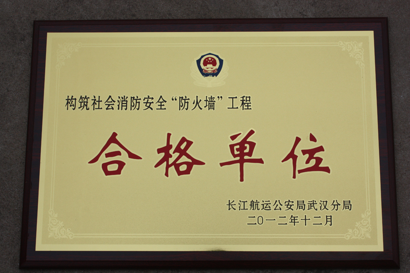 社會(huì)消防安全合格單位（湖北亞東）