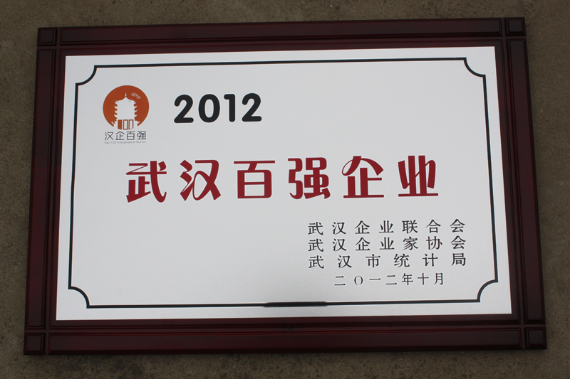 武漢百?gòu)?qiáng)企業(yè)（湖北亞東）