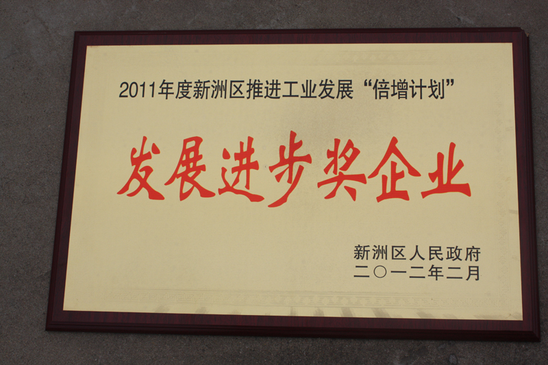 發(fā)展進(jìn)步獎(jiǎng)企業(yè)（湖北亞東）