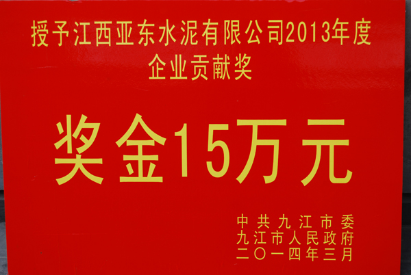 九江市『企業(yè)貢獻(xiàn)獎』（江西亞東）