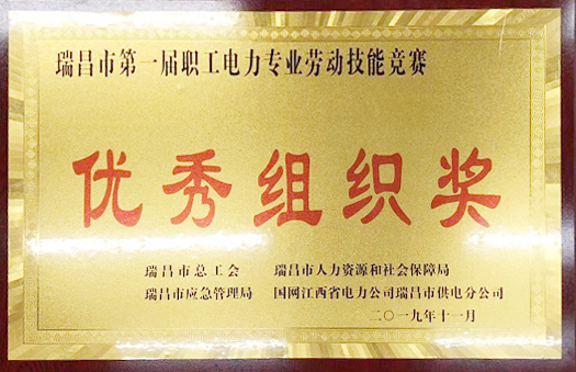 職工電力專業(yè)勞動(dòng)技能競(jìng)賽“優(yōu)秀組織獎(jiǎng)”（江西亞東）