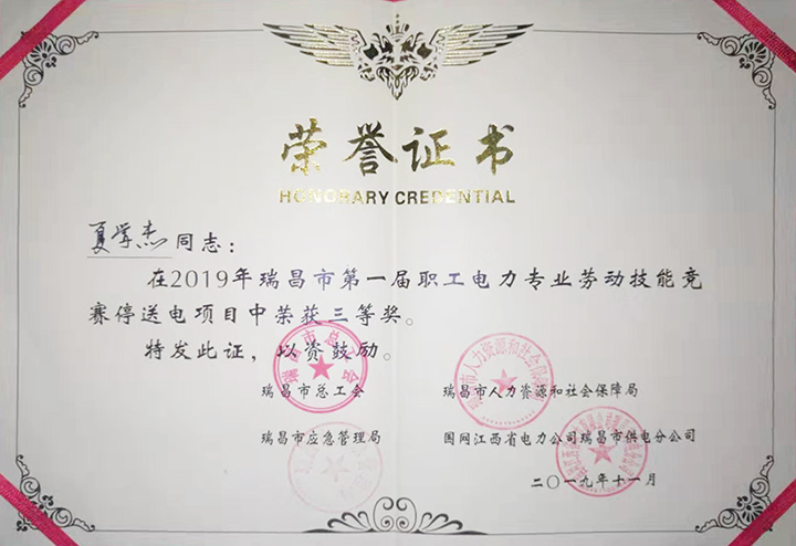 電力專業(yè)勞動(dòng)技能競(jìng)賽“個(gè)人三等獎(jiǎng)”（江西亞東）