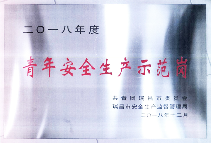 青年安全生產示范崗（江西亞東）