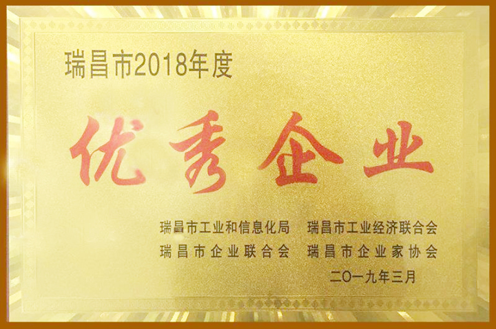 2018年度優(yōu)秀企業(yè)（江西亞東）