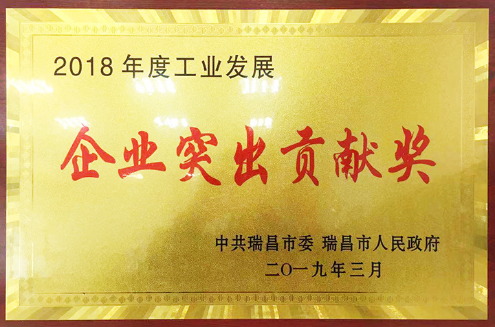 企業(yè)突出貢獻獎（江西亞東）