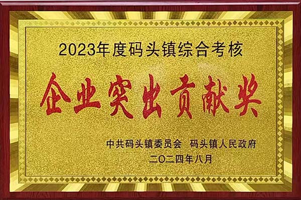 2024年8月20日，瑞昌市碼頭鎮(zhèn)召開2023年度綜合考核總結(jié)暨通報表揚大會，會上江西亞東榮獲“2023年度碼頭鎮(zhèn)綜合考核企業(yè)突出貢獻獎”，并獲頒獎牌。